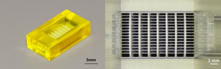 1753669929410266.jpg 微信圖片_20250728092650.jpg