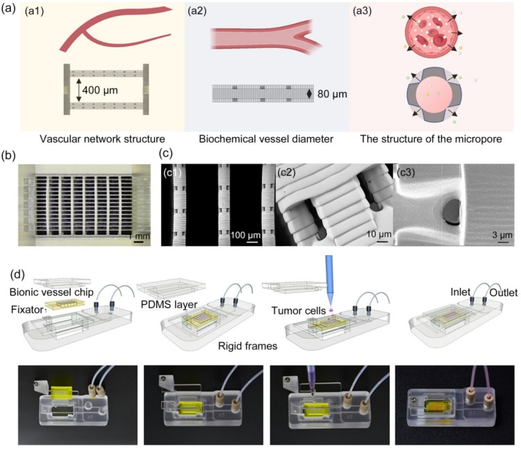 1753669973141450.jpg 微信圖片_20250728092702.jpg