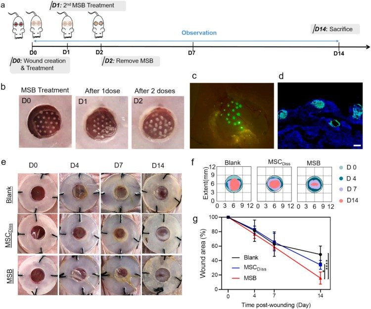1753840067517269.jpg 微信圖片_2025-07-30_094513_820.jpg