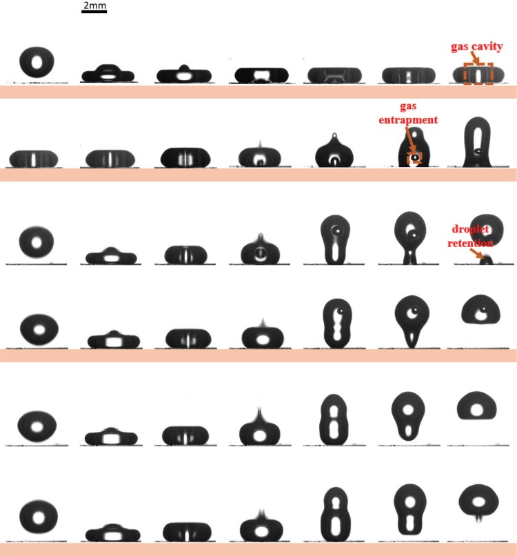 1756695164749579.jpg 微信圖片_2025-09-01_104912_016.jpg