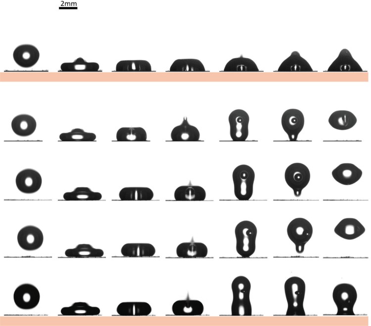 1756695183199435.jpg 微信圖片_2025-09-01_104916_388.jpg