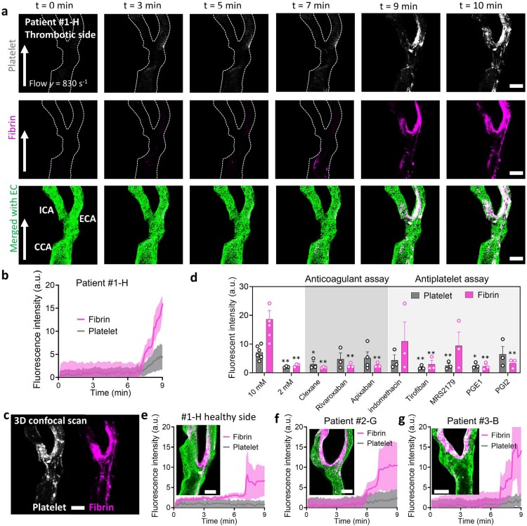 1758521274626910.jpg 微信圖片_2025-09-22_140016_185.jpg