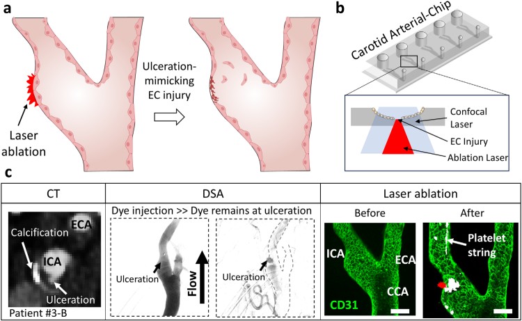 1758521303342762.jpg 微信圖片_2025-09-22_140019_604.jpg