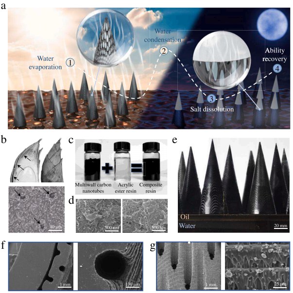 1761125342214686.jpg 微信圖片_2025-10-22_172554_383.jpg