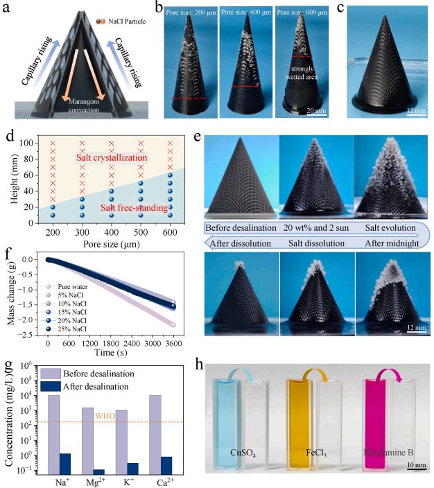 1761125402129769.jpg 微信圖片_2025-10-22_172608_457.jpg