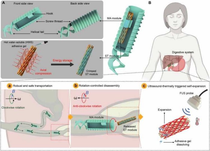 1764036998416779.jpg 微信圖片_2025-11-25_095537_113.jpg