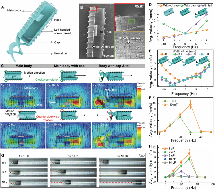 1764037114121059.png 微信圖片_2025-11-25_101753_424.png