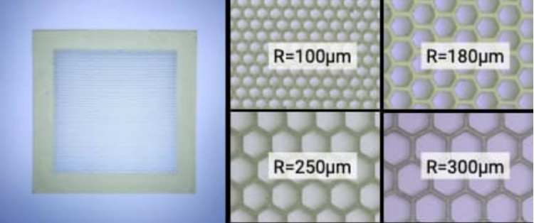 1764054810887631.jpg 微信圖片_2025-11-25_150956_348.jpg