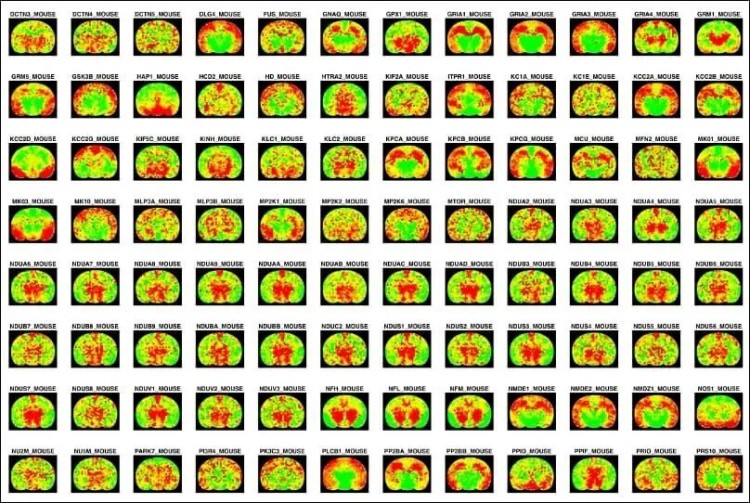 1764054853760480.jpg 微信圖片_2025-11-25_150959_644.jpg