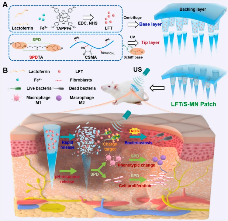 1764559750181131.jpg 微信圖片_2025-12-01_112555_863.jpg