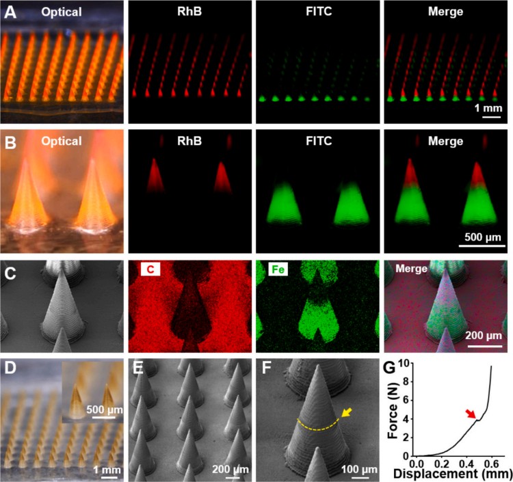 1764559767486430.jpg 微信圖片_2025-12-01_112559_263.jpg