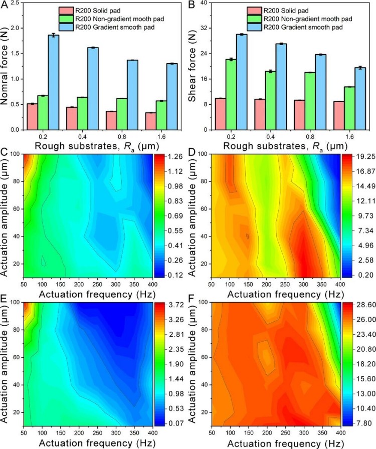 1765421130531066.jpg 微信圖片_2025-12-11_102229_305.jpg