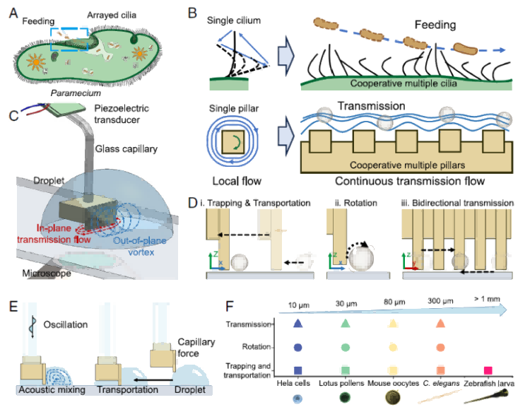 1766540407263751.png 微信圖片_2025-12-24_093432_045.png