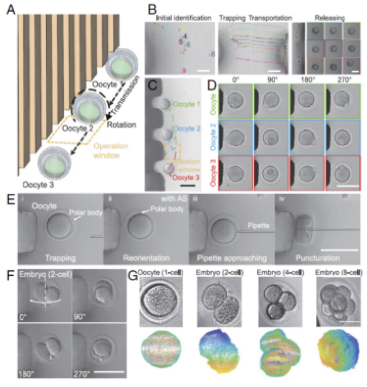 1766540490154981.png 微信圖片_2025-12-24_093439_557.png