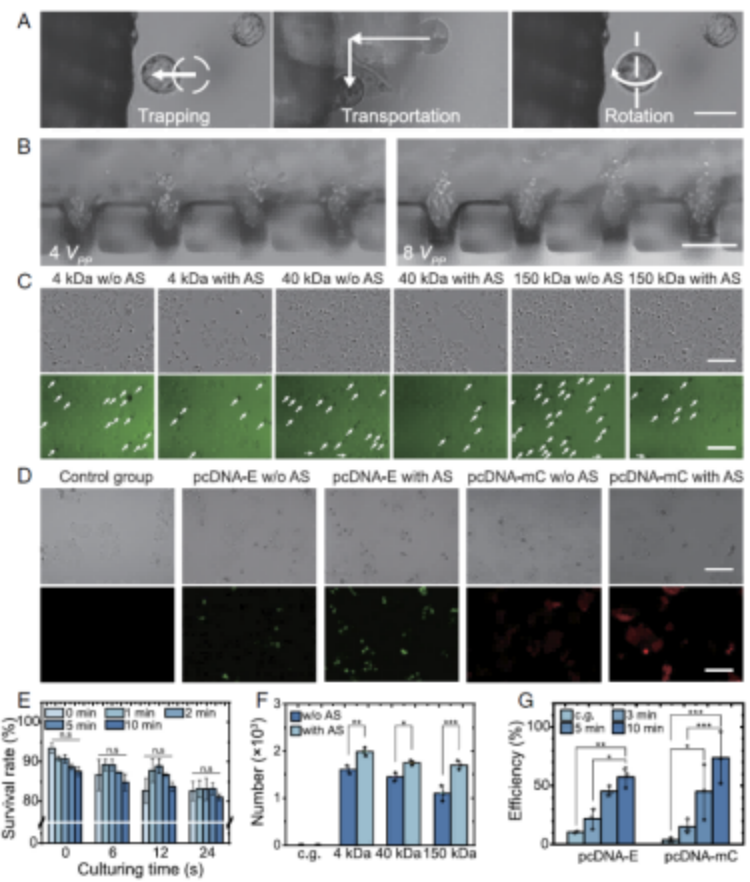 1766540560257489.png 微信圖片_2025-12-24_093459_116.png