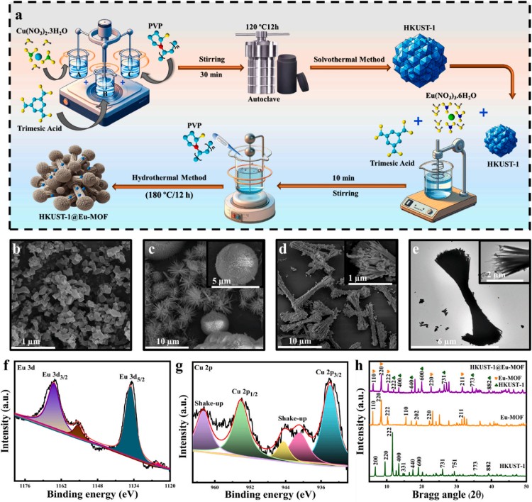 1767145533555482.jpg 微信圖片_2025-12-31_092449_929.jpg