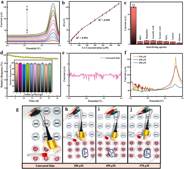 1767145616756384.jpg 微信圖片_2025-12-31_092507_514.jpg