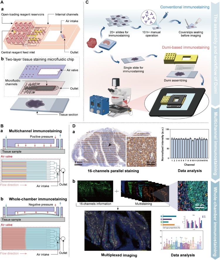 1770195735729395.jpg 微信圖片_2026-02-04_143027_318.jpg