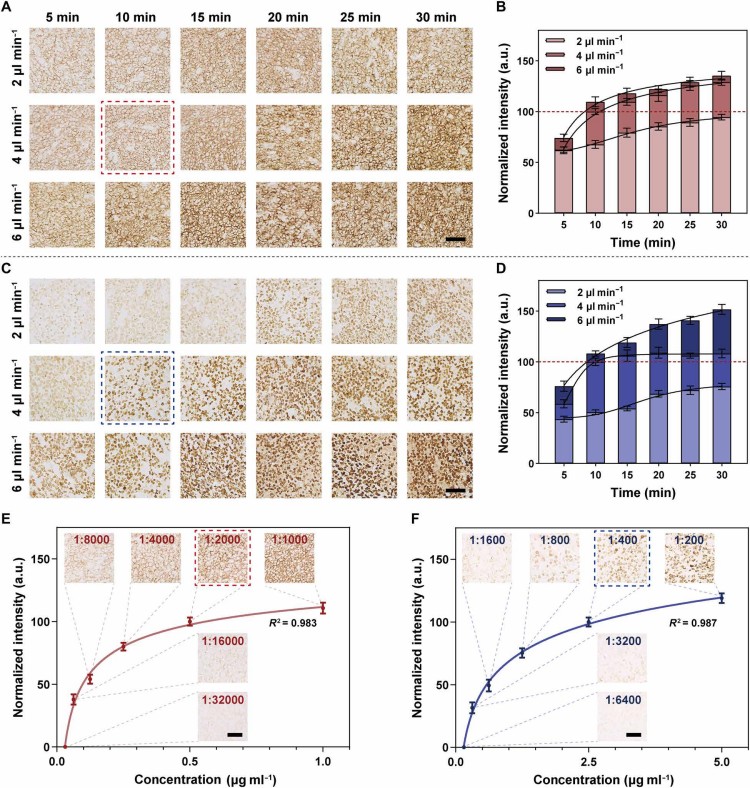 1770195755195010.jpg 微信圖片_2026-02-04_143056_331.jpg