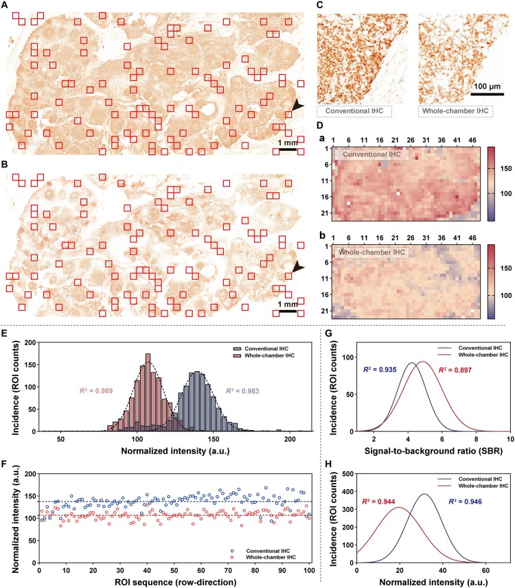 1770195790544181.jpg 微信圖片_2026-02-04_143102_090.jpg