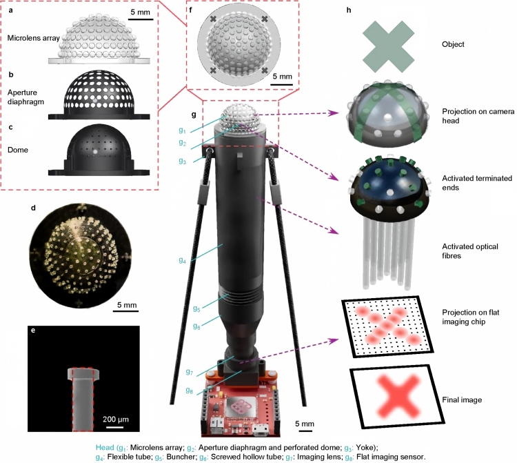 1784255330798599.jpg microlens array.jpg